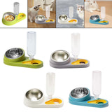 Maxbell Dog Cat Double Bowl Food Water Bowl Tilted Anti Spill Feeder Bow Detachable Green