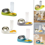 Maxbell Dog Cat Double Bowl Food Water Bowl Tilted Anti Spill Feeder Bow Detachable Green