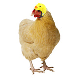 Maxbell Chicken Hat Headwear Safety Headgear Head Protector Fashion Soft for Hen Yellow