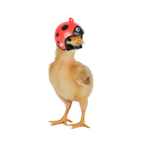 Maxbell Chicken Hat Headwear Safety Headgear Head Protector Fashion Soft for Hen Red Black