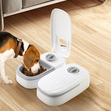 Maxbell Automatic Cat Feeders Dog Cat Food Dispenser with 48H Timer Smart Large Double Meal Grey