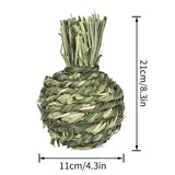 Maxbell Small Animals Chewing Balls Tooth Cleaning Tool Pet Cage Accessories for Bunny Apple