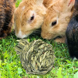 Maxbell Small Animals Chewing Balls Tooth Cleaning Tool Pet Cage Accessories for Bunny Apple