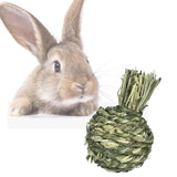 Maxbell Small Animals Chewing Balls Tooth Cleaning Tool Pet Cage Accessories for Bunny Apple