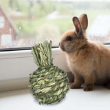 Maxbell Small Animals Chewing Balls Tooth Cleaning Tool Pet Cage Accessories for Bunny Apple