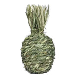 Maxbell Small Animals Chewing Balls Tooth Cleaning Tool Pet Cage Accessories for Bunny Pineapple