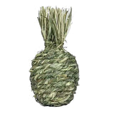 Maxbell Small Animals Chewing Balls Tooth Cleaning Tool Pet Cage Accessories for Bunny Pineapple