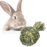 Maxbell Small Animals Chewing Balls Tooth Cleaning Tool Pet Cage Accessories for Bunny Pineapple
