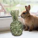 Maxbell Small Animals Chewing Balls Tooth Cleaning Tool Pet Cage Accessories for Bunny Pineapple