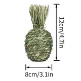 Maxbell Small Animals Chewing Balls Tooth Cleaning Tool Pet Cage Accessories for Bunny Pineapple