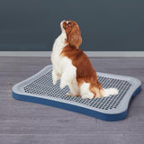 Maxbell Portable Pet Training Toilet Tray Puppy Potty Tray Urinal Lattice Bedpan Blue