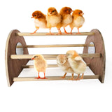 Maxbell Handmade Bird Perch Stand Toy with Mirror for Hens Macaw Bird