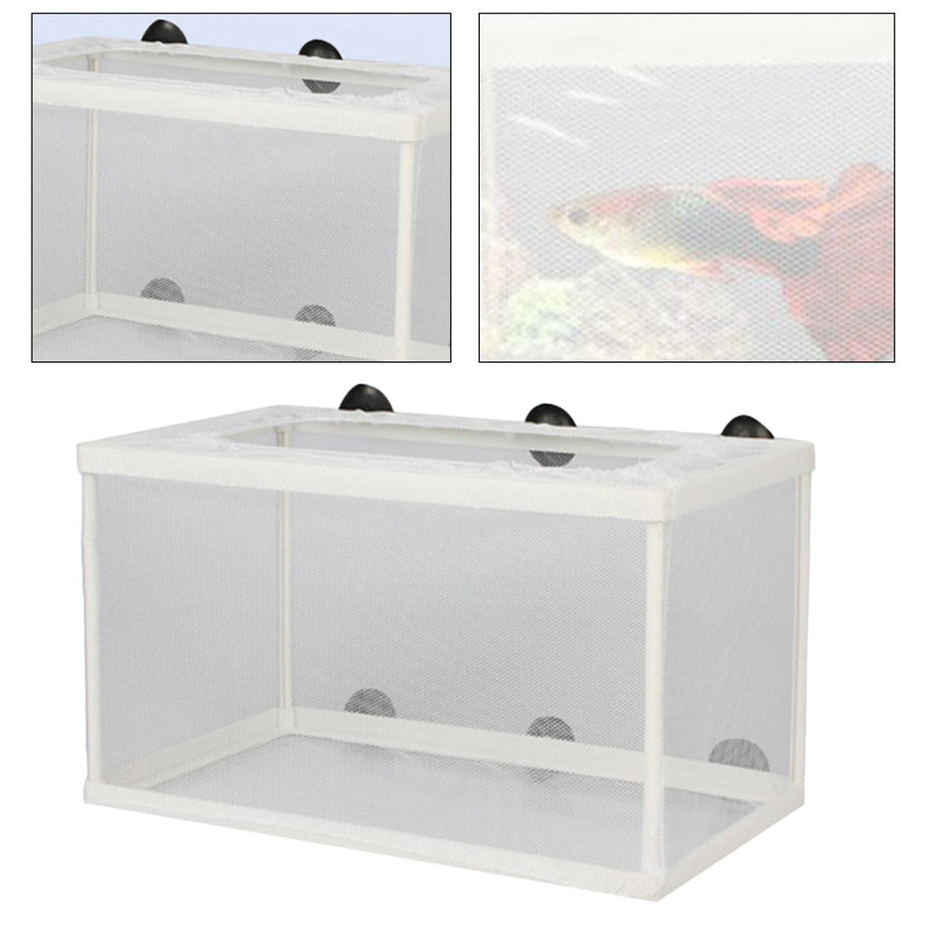 ⚡️Buy Maxbell Fish Breeder Box Aquarium Breeding Isolation Net for Newborn  Fry Guppy at the best price with offers in India. Maxbell Fish Breeder Box  Aquarium Breeding Isolation Net for Newborn Fry