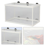 Maxbell Fish Breeder Box Aquarium Breeding Isolation Net for Newborn Fry Guppy
