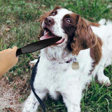 Maxbell Durable Dog No Bite Sticks Pet Crowbar for Medium Large Strong Dogs Pitbull
