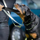 Maxbell Durable Dog No Bite Sticks Pet Crowbar for Medium Large Strong Dogs Pitbull
