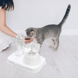 Maxbell Tilted Cat Food Bowl Pet Feeder Waterer Food Feeding Dog Bowl Drink Fountain White