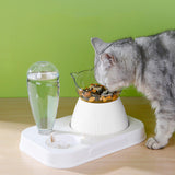 Maxbell Tilted Cat Food Bowl Pet Feeder Waterer Food Feeding Dog Bowl Drink Fountain White