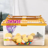 Maxbell Small Turtle Tank Small Fish Tank with Handle and Cover for Hermit Crabs