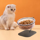 Maxbell Raised Cat Food Bowl Drinking Bowl Pet Feeder Removable for Indoor Cats