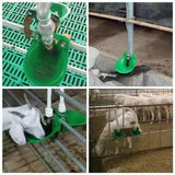Maxbell Automatic Sheep Water Bowl Trough Drinker Waterer Cup Goats Feeding for Cow PP Drinker