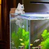 Maxbell Cat Aquarium Landscape Ornaments Storage Decor Resin for Aquarium Lovers white
