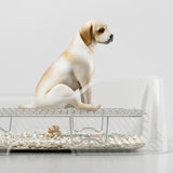Maxbell Mesh Dog Toilet for Small and Medium Dogs Easy to Clean with Protection Wall White