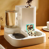 Maxbell Automatic Pet Feeder Gravity Refill for Pet Supplies Rabbit Dog Drinking