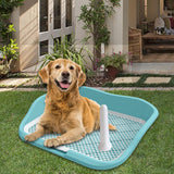 Maxbell Portable Mesh Dog Training Toilet Litter Box Small Dog Urinal with Fence Green