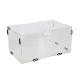 Maxbell Reptile Breeding Box Transport Container Carrier Clear for Scorpion Snake