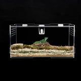 Maxbell Reptile Breeding Box Transport Container Carrier Clear for Scorpion Snake