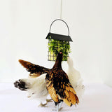 Maxbell Hanging Feeder for Hens Chicken Suet Cage Holder for Cabbage Lettuce Veggies