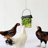 Maxbell Hanging Feeder for Hens Chicken Suet Cage Holder for Cabbage Lettuce Veggies