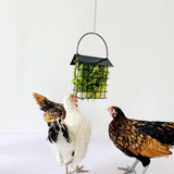 Maxbell Hanging Feeder for Hens Chicken Suet Cage Holder for Cabbage Lettuce Veggies