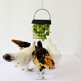 Maxbell Hanging Feeder for Hens Chicken Suet Cage Holder for Cabbage Lettuce Veggies