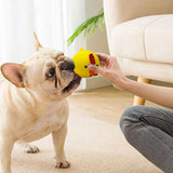 Maxbell Latex Squeaky Dog Toy Training and Cleaning Interactive Dog Chew Toy A