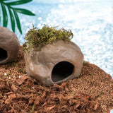 Maxbell Hamster Cave Landscaping Indoor Outdoor Pets Hideout House for Mouse Dwarf 12.5cmx13.5cmx8.5cm