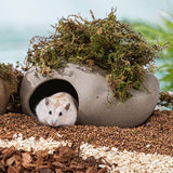 Maxbell Hamster Cave Landscaping Indoor Outdoor Pets Hideout House for Mouse Dwarf 17cmx12cmx8.3cm