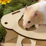 Maxbell Hamster Hideout House Guinea Pig Hut Cage Accessories Mouse Hideaway for Pet Two Layers