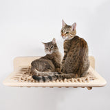 Maxbell Household Cat Wall Mounted Hammock Durable Kitty Furniture for Pet Cat