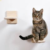 Maxbell Cat Stairway Wall Mounted Platform Ladder Cat Climbing Shelves for Resting Suction Cup