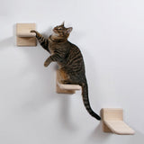 Maxbell Cat Stairway Wall Mounted Platform Ladder Cat Climbing Shelves for Resting Suction Cup
