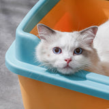 Maxbell Cat Litter Boxes for Indoor Cats Open Air for Kitten Litter Boxes Low Entry Blue
