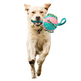 Maxbell Dog Toys Soccer Ball for Small Medium Dogs Chew Toy Kitten Kitty Running pink and blue