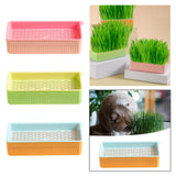 Maxbell Nursery Tray Soil Free Seeds Germination Trays for Seedling Planting Pink