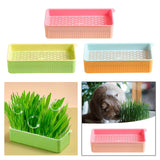 Maxbell Nursery Tray Soil Free Seeds Germination Trays for Seedling Planting Pink
