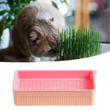 Maxbell Nursery Tray Soil Free Seeds Germination Trays for Seedling Planting Pink