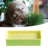 Maxbell Nursery Tray Soil Free Seeds Germination Trays for Seedling Planting Green