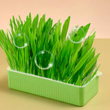 Maxbell Nursery Tray Soil Free Seeds Germination Trays for Seedling Planting Green