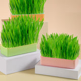 Maxbell Nursery Tray Soil Free Seeds Germination Trays for Seedling Planting Green